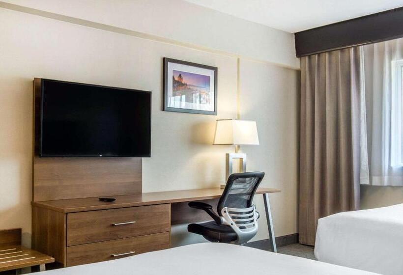 キングサイズベッドのエクゼクティブルーム, Quality Hotel Dorval Aeroport