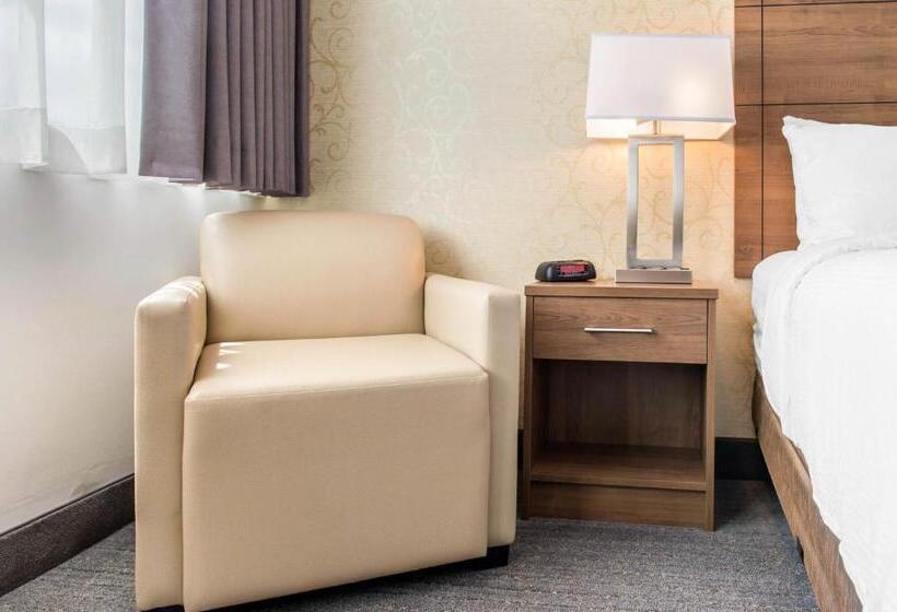 キングサイズベッドのスタンダードルーム, Quality Hotel Dorval Aeroport