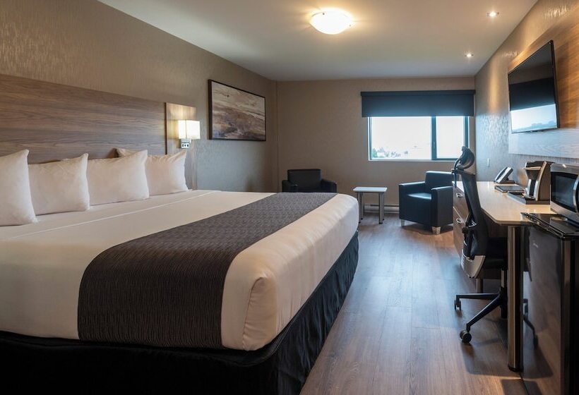 اتاق استاندارد, & Suites Le Dauphin Quebec