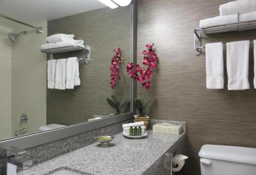سوئیت با تخت بزرگ, Toronto Don Valley Hotel And Suites