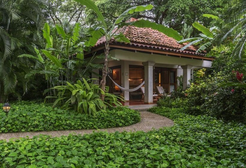 Бунгало Стандарт, Capitan Suizo Beachfront Boutique