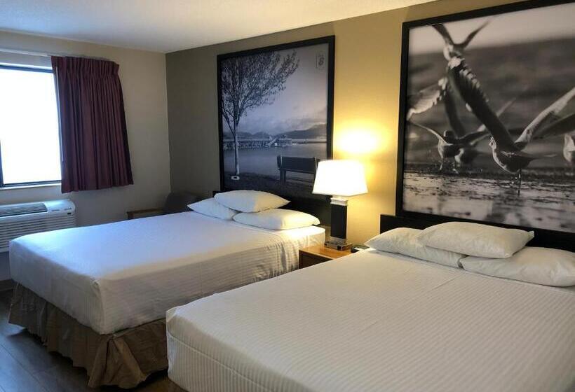 标准间, Super 8 By Wyndham Salmon Arm