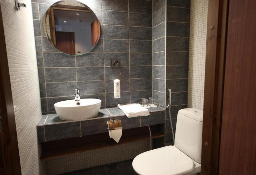 Полулюкс, Levi Hotel Spa