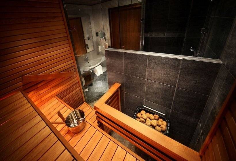 Полулюкс, Levi Hotel Spa
