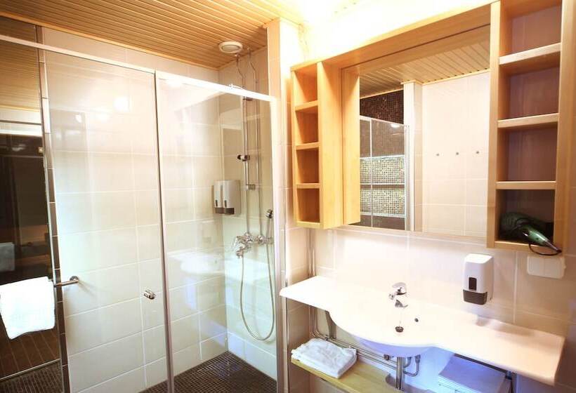 Четырехместный Номер Стандарт, Levi Hotel Spa