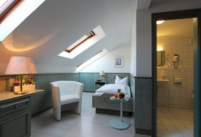Номер Стандарт Индивидуальный, Parkhotel Plauen