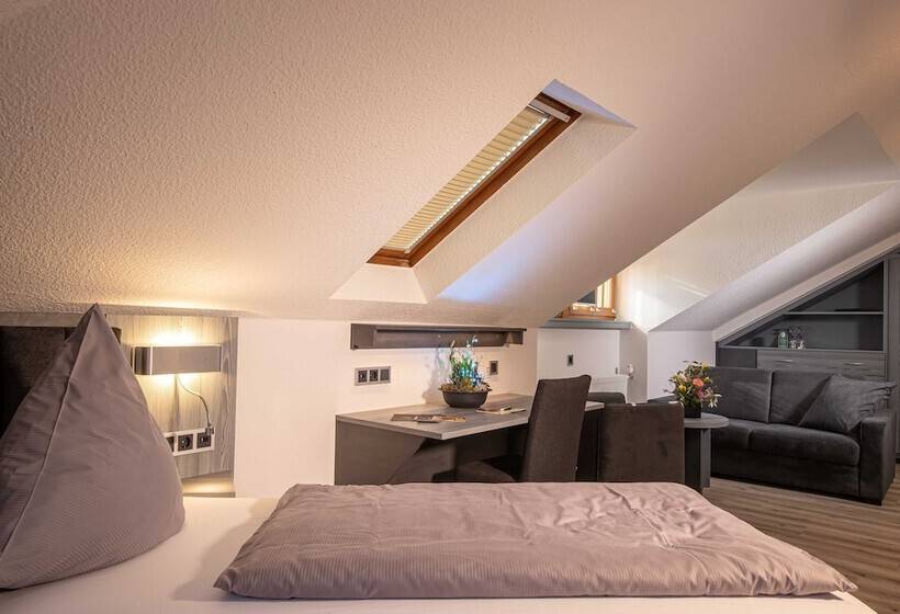 Номер Economy Индивидуальный, Parkhotel Plauen