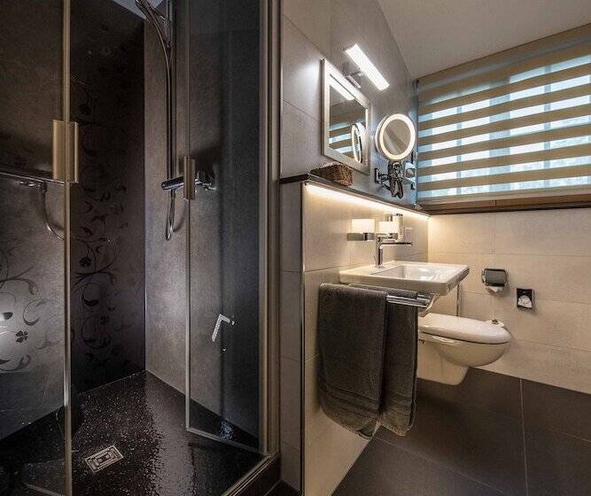 Номер Economy Индивидуальный, Parkhotel Plauen