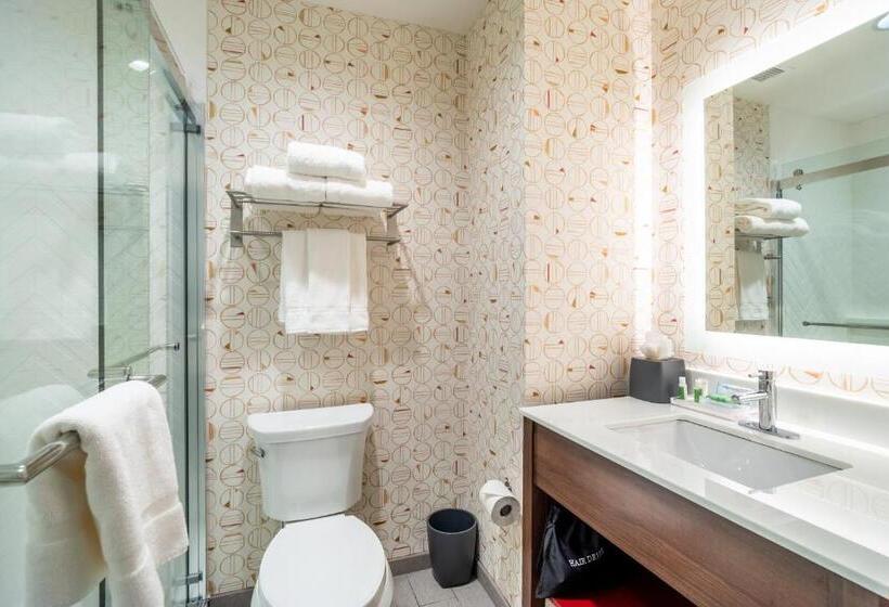 标准间, Holiday Inn   Columbia   Downtown, An Ihg