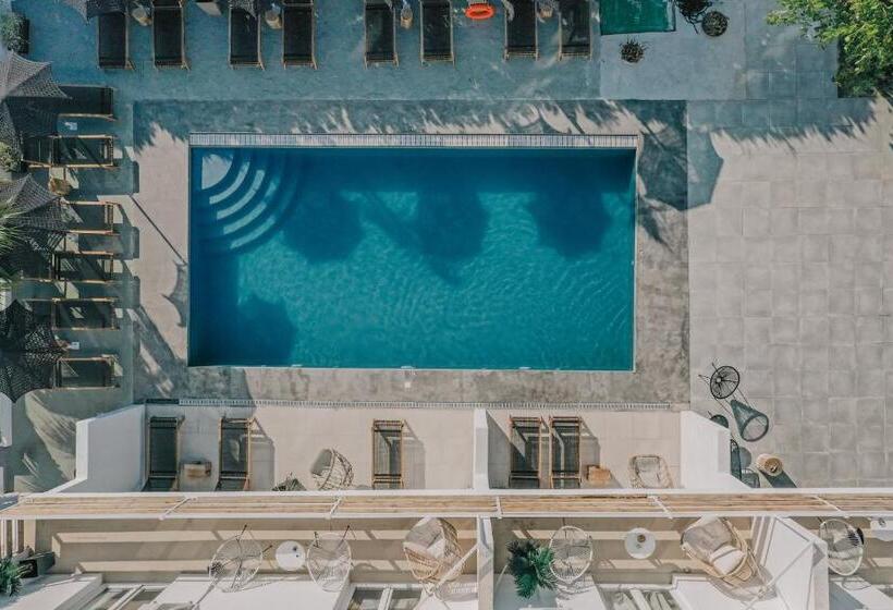 Люкс Повышенной Комфортности, Olive Grove Suites Boutique