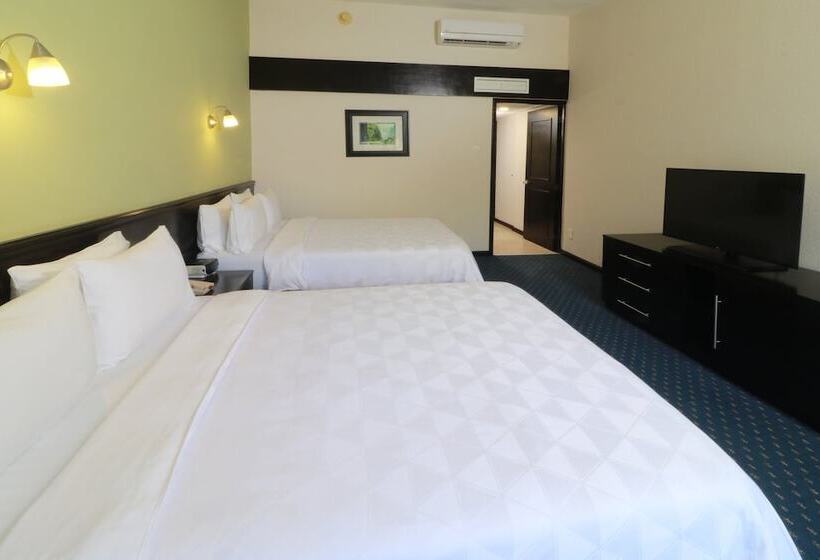 اتاق استاندارد با 2 تخت دوبل, Holiday Inn San Luis Potosi Quijote By Ihg