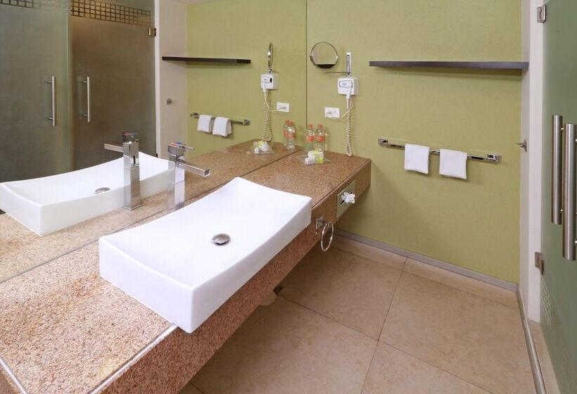 اتاق استاندارد با 2 تخت دوبل, Holiday Inn San Luis Potosi Quijote By Ihg