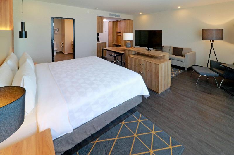 اتاق استاندارد با تخت بزرگ, Holiday Inn San Luis Potosi Quijote By Ihg