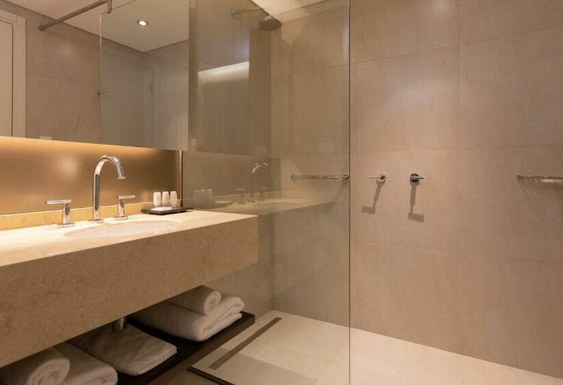 스탠다드 룸 산 전망, Hilton Garden Inn Neuquen