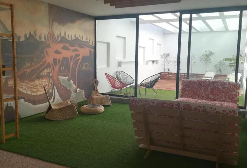 Кровать в Общей Комнате, Trevejo Hostel
