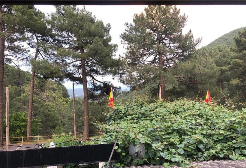수피리어 룸, Hostal Restaurante Fogón De Gredos