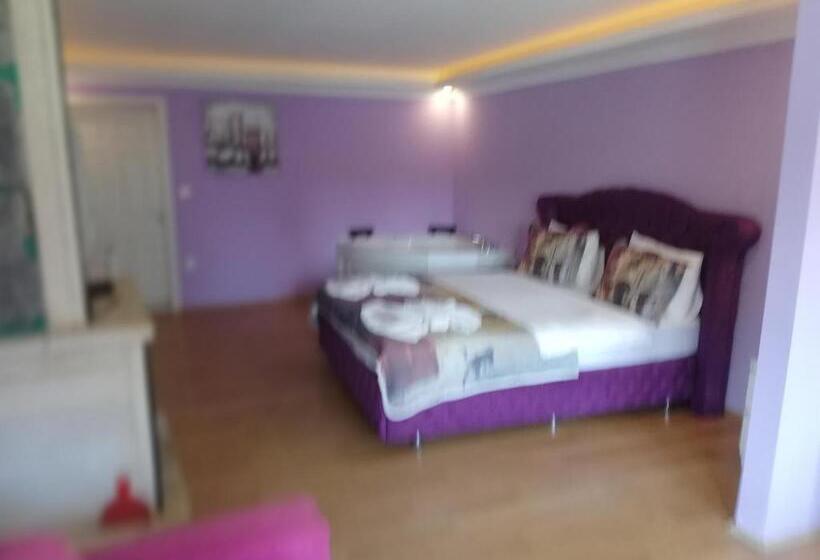 Номер Deluxe с Балконом, Alesta Butik Otel
