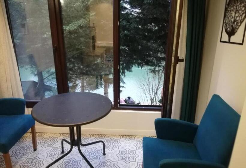 Номер Стандарт Вид на Бассейн, Alesta Butik Otel