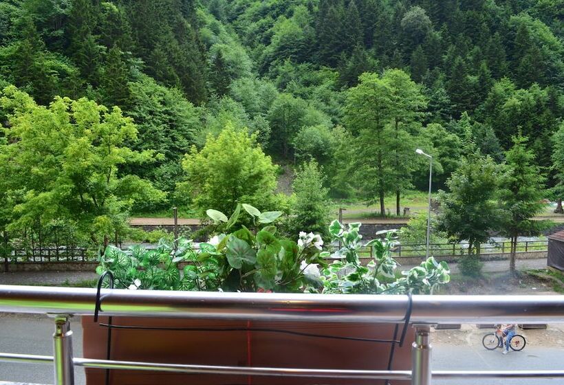 Семейный Номер, Ecrin Hotel Uzungol