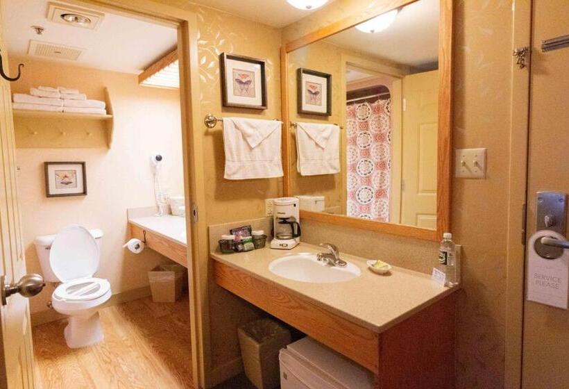 스탠다드 룸 킹사이즈 침대, Essenhaus Inn & Conf. Center