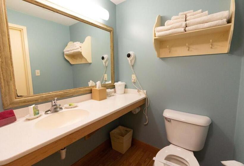 스탠다드 룸 킹사이즈 침대, Essenhaus Inn & Conf. Center