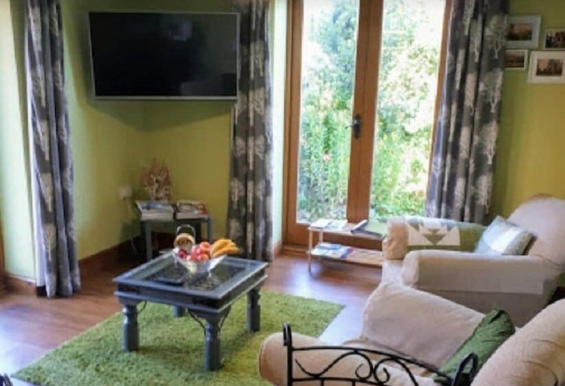 Номер Стандарт, Field View B&b