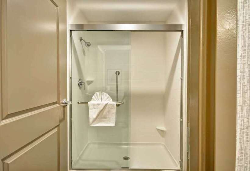 Estúdio standart Cama King, Homewood Suites By Hilton Chicago Downtown South Loop