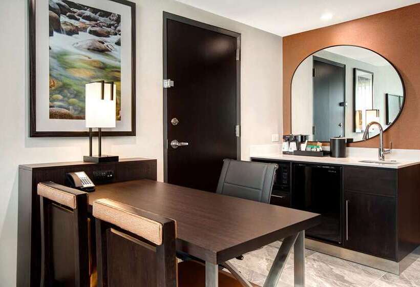 Suite, Homewood Suites By Hilton Chicago Downtown South Loop