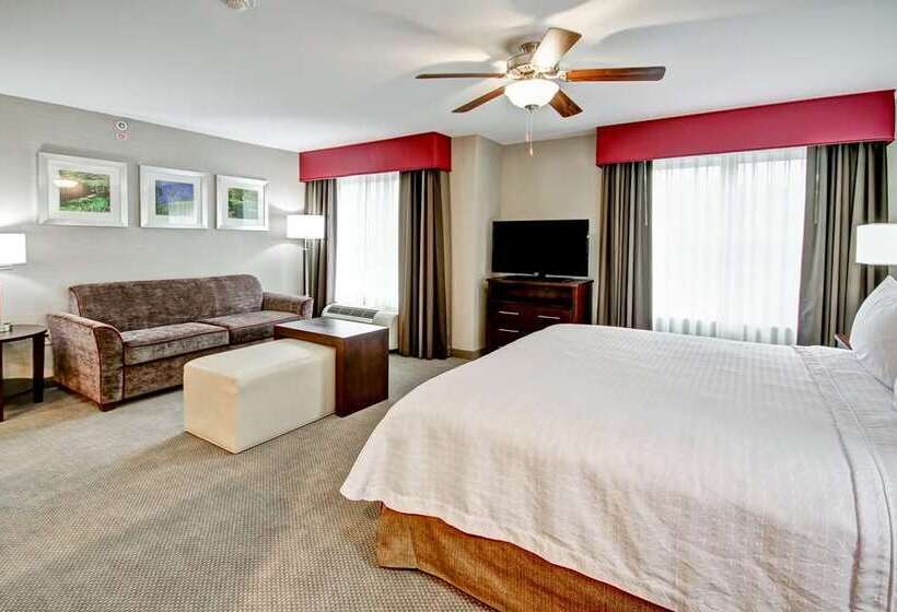 חדר סטודיו סטנדרד, Home2 Suites By Hilton Dayton South