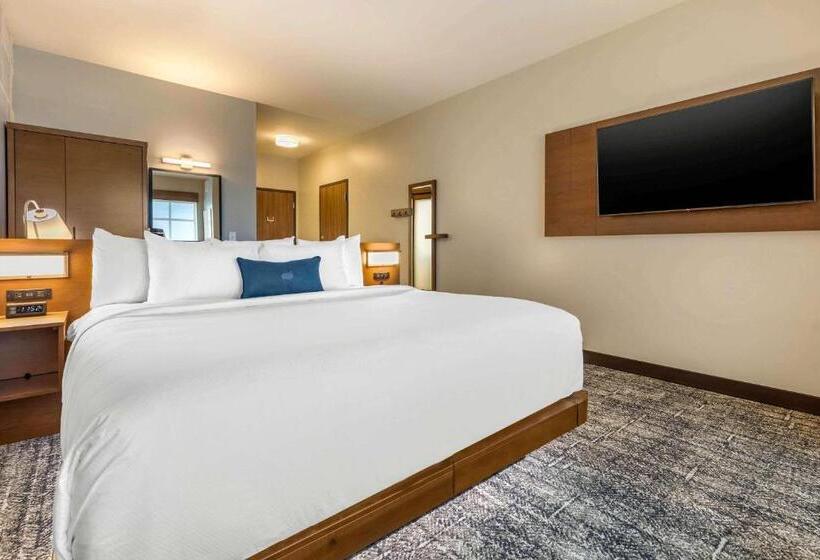 اتاق استاندارد با تخت بزرگ برای معلولان, Cambria Hotel Davenport Quad Cities