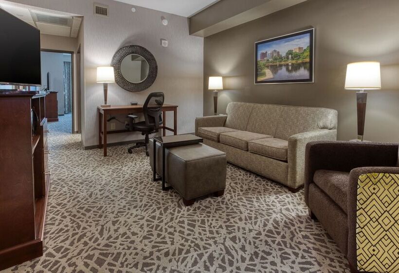 Люкс Адаптированный для Инвалидов, Drury Plaza Hotel Dallas Richardson