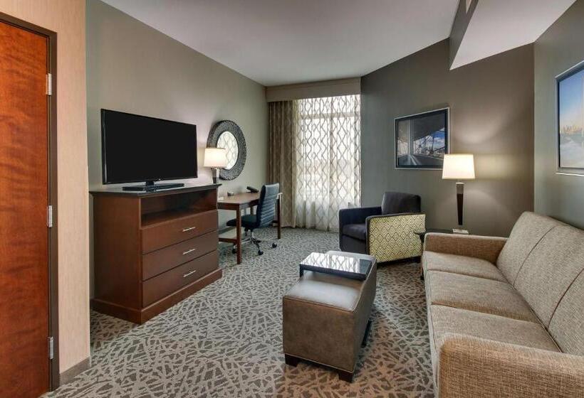 Студио Стандарт Кровать Кинг, Drury Plaza Hotel Dallas Richardson