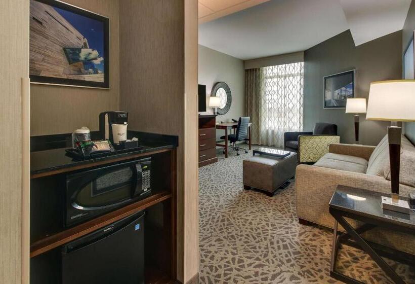 Люкс Superior, Drury Plaza Hotel Dallas Richardson