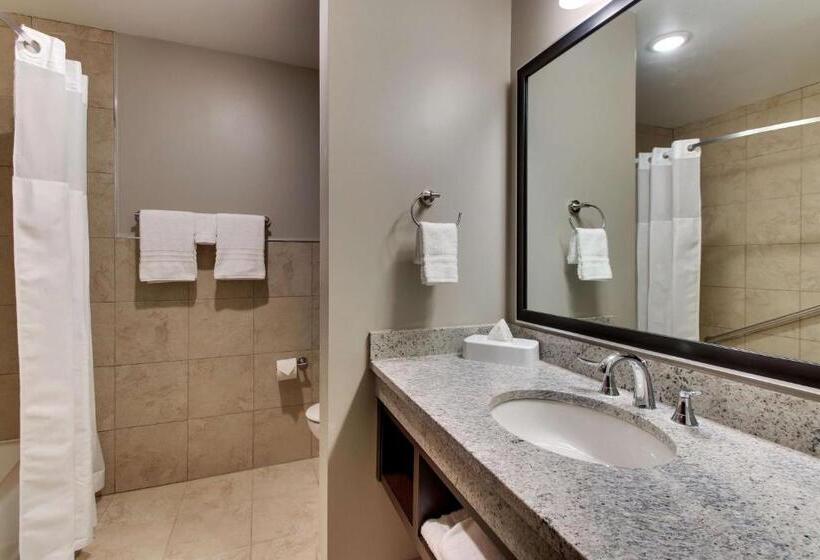 Номер Deluxe Адаптированный для Инвалидов, Drury Plaza Hotel Dallas Richardson