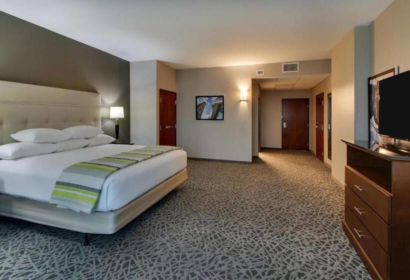 Номер Superior Адаптированный для Инвалидов, Drury Plaza Hotel Dallas Richardson