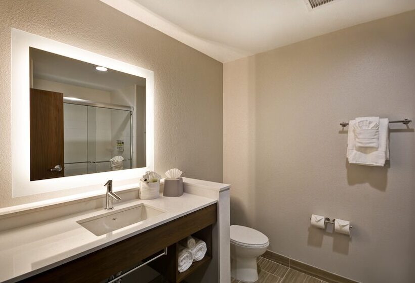 Номер Стандарт, Holiday Inn Express & Suites   Houston Nasa   Boardwalk Area, An Ihg