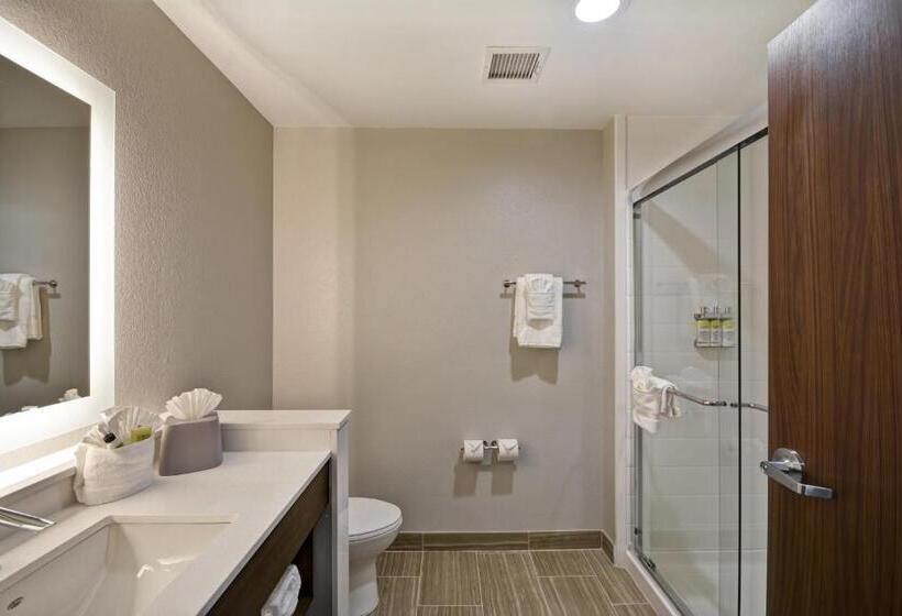 Люкс, Holiday Inn Express & Suites   Houston Nasa   Boardwalk Area, An Ihg