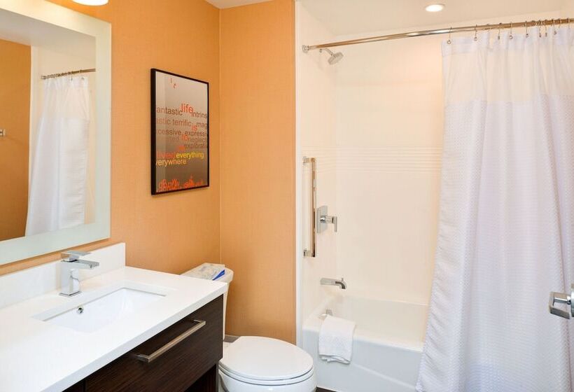 스위트, Towneplace Suites By Marriott Detroit Belleville