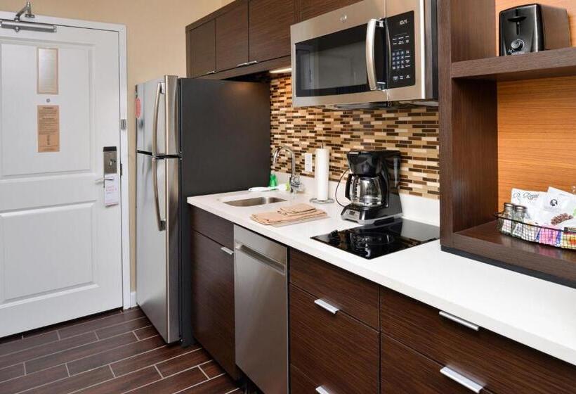 스탠다드 스튜디오, Towneplace Suites By Marriott Detroit Belleville