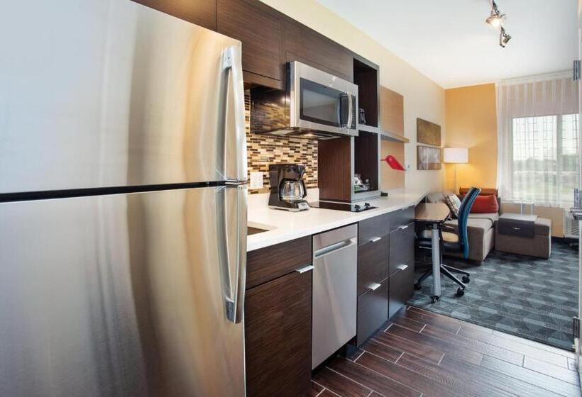 스탠다드 스튜디오 킹침대, Towneplace Suites By Marriott Detroit Belleville