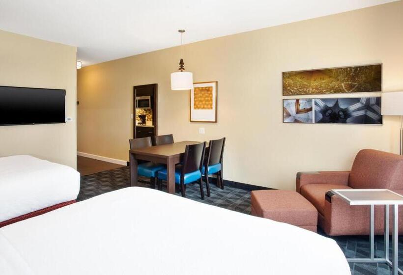 스탠다드 스튜디오, Towneplace Suites By Marriott Detroit Belleville