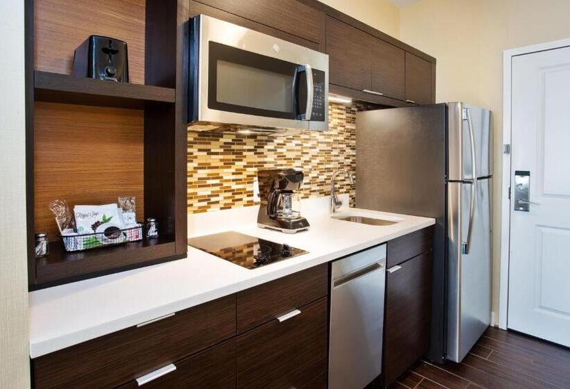 스탠다드 스튜디오, Towneplace Suites By Marriott Detroit Belleville