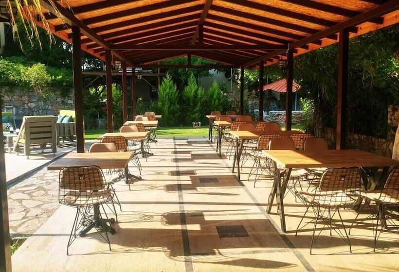 اتاق استاندارد با چشم‌انداز شهر, Nehir Dalyan Boutique Otel