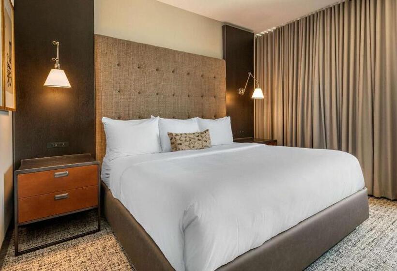 اتاق استاندارد با تخت بزرگ, Cambria Hotel Houston Downtown Convention Center