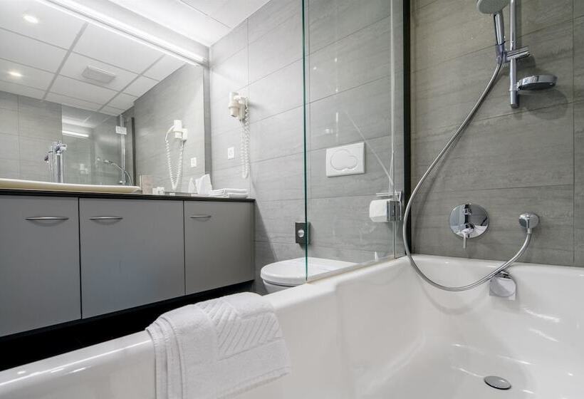 Номер Executive, Hôtel Rallye & Entrées Aux Bains De La Gruyère