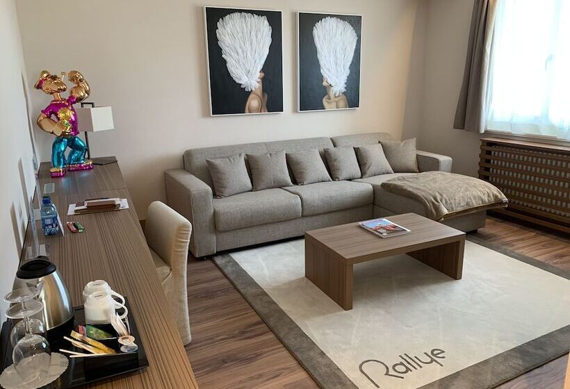 Номер Стандарт, Hôtel Rallye & Entrées Aux Bains De La Gruyère
