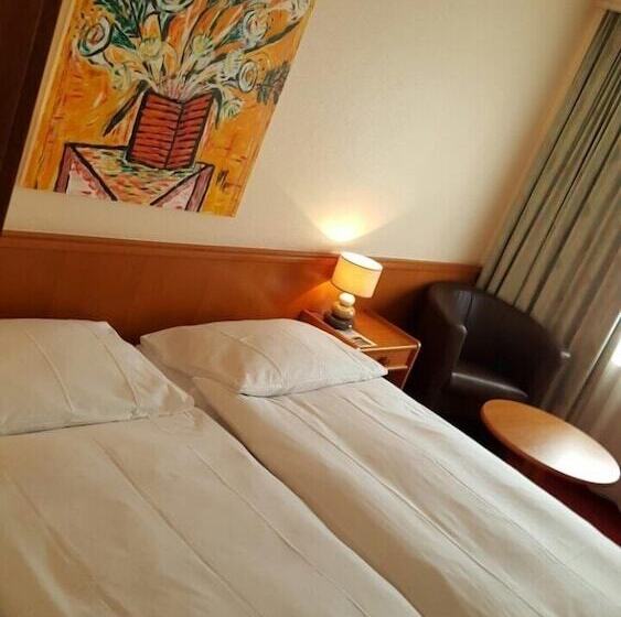 Номер Стандарт, Hôtel Des Trois Rois
