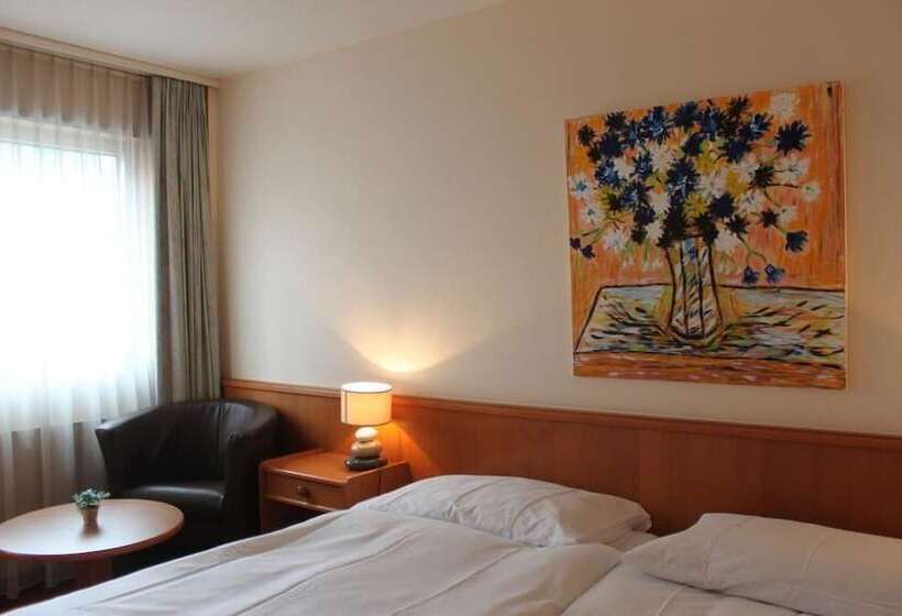 Номер Superior Одноместный, Hôtel Des Trois Rois