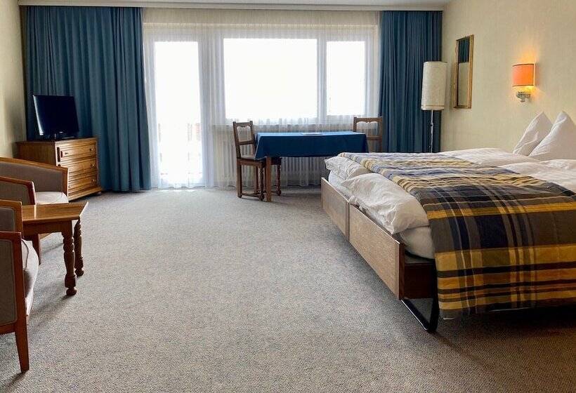 Номер Superior Вид на Горы, Regina Terme