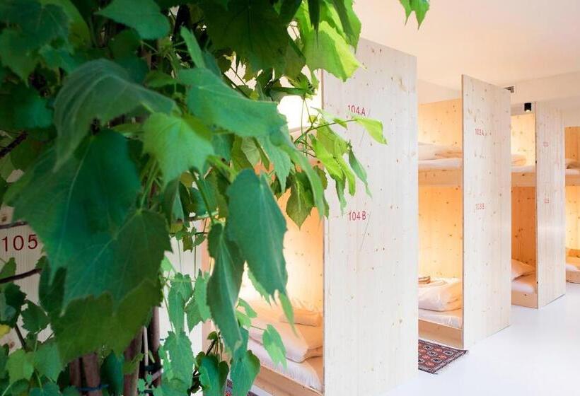 Кровать в Общей Комнате, The Green Elephant Hostel & Spa